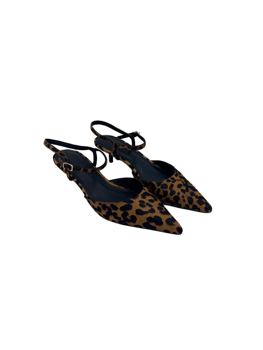 Steve Madden - Adelaide leopard